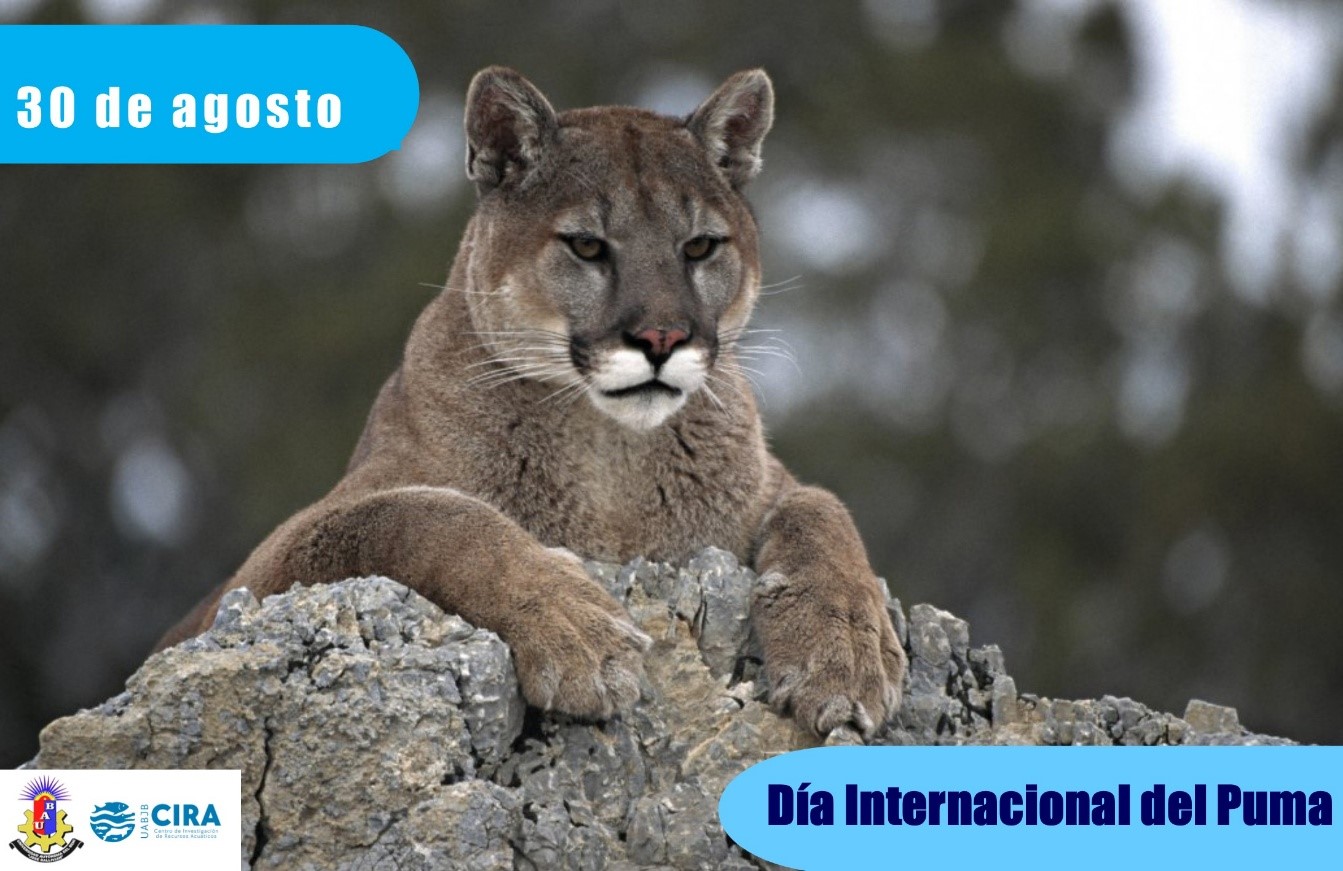 Congreso de Ictiología