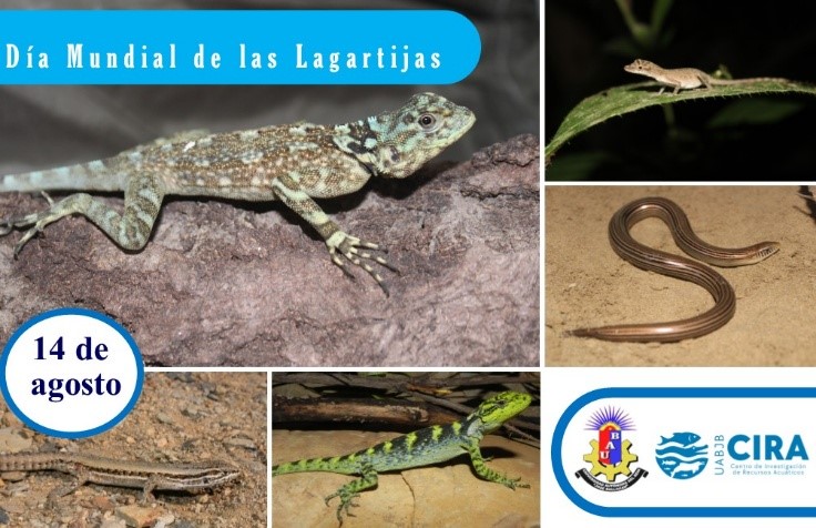 Seminario de Peces