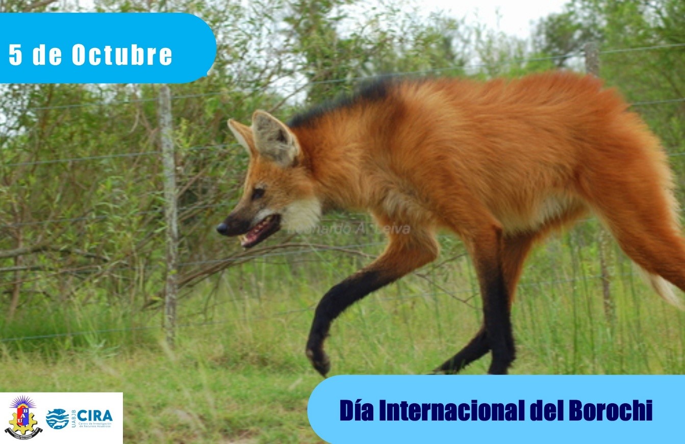Congreso de Ictiología
