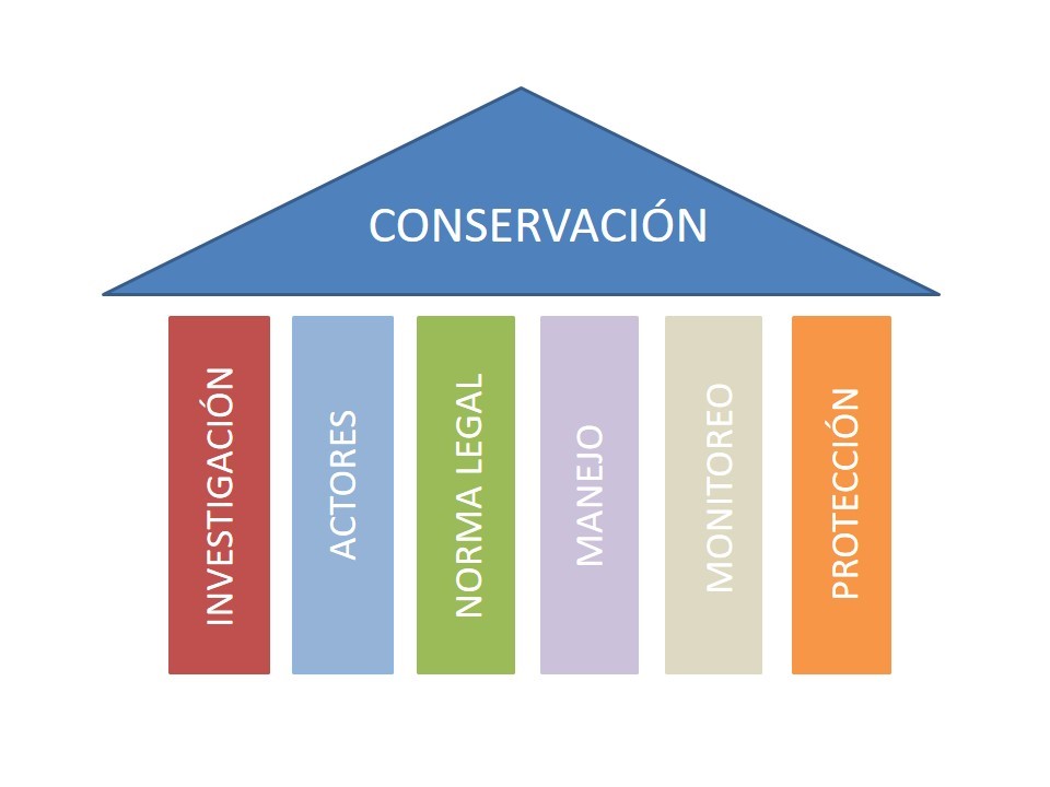Figura 1. Pilares fundamentales para la conservación de vida silvestre