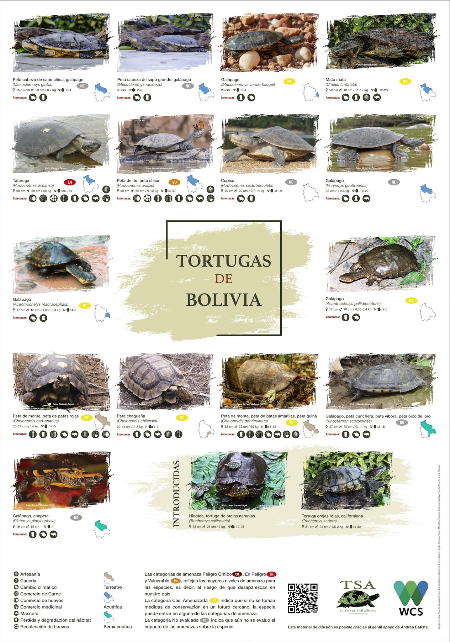 Poster 2