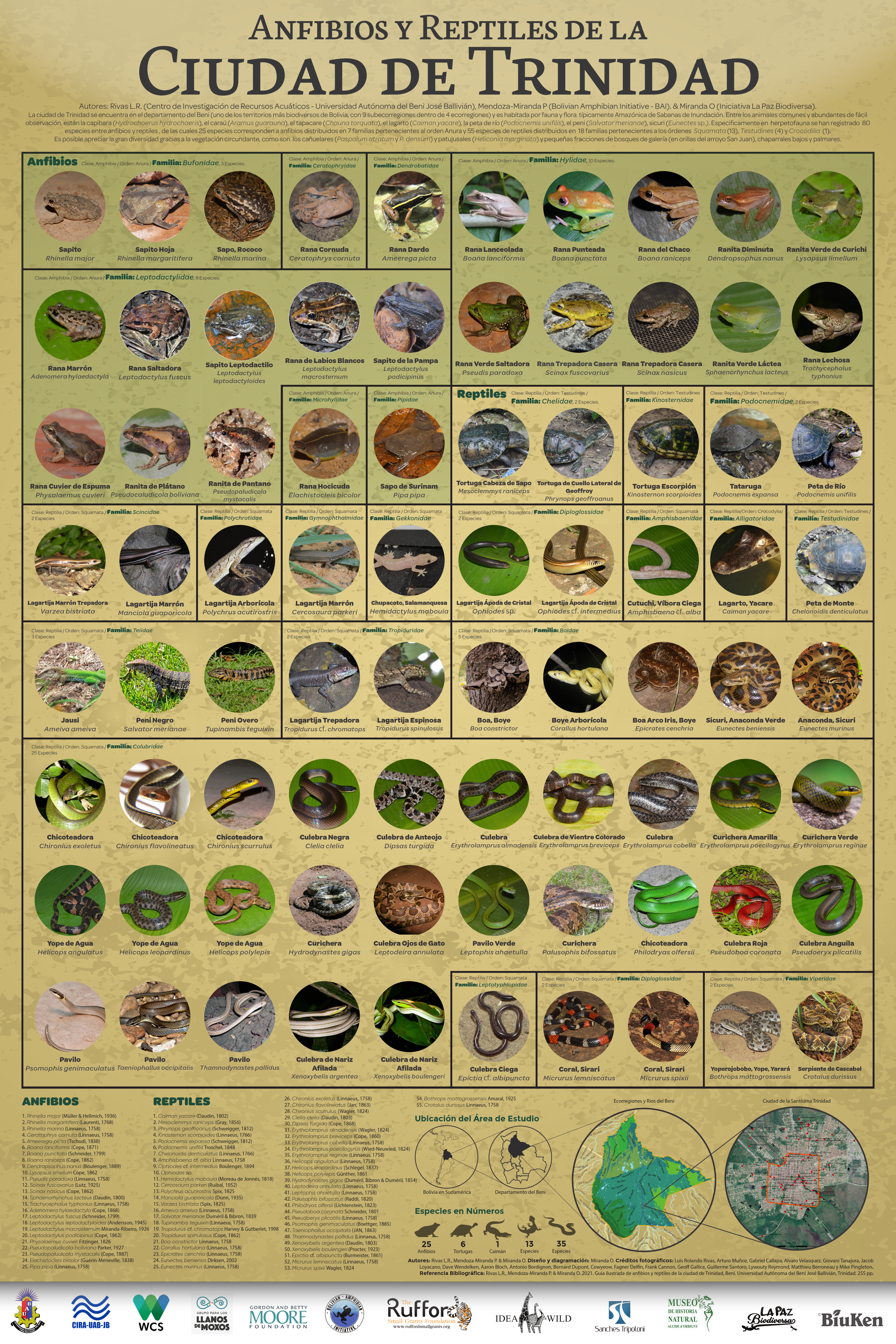 Poster 1