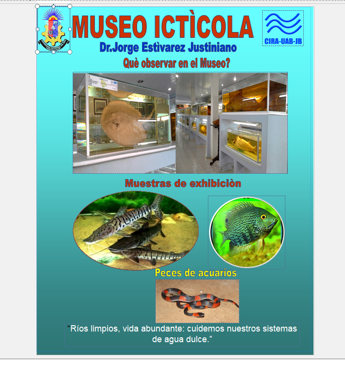 Afiche 1