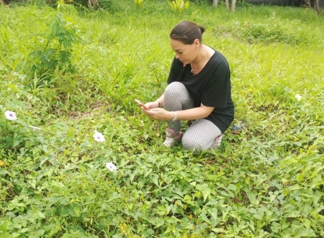 Participación en el Reto Ciudad Naturaleza (iNaturalist)