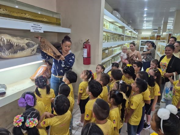 Visitas guiadas a niños de primaria