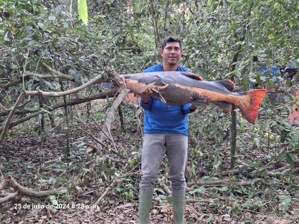Expedición