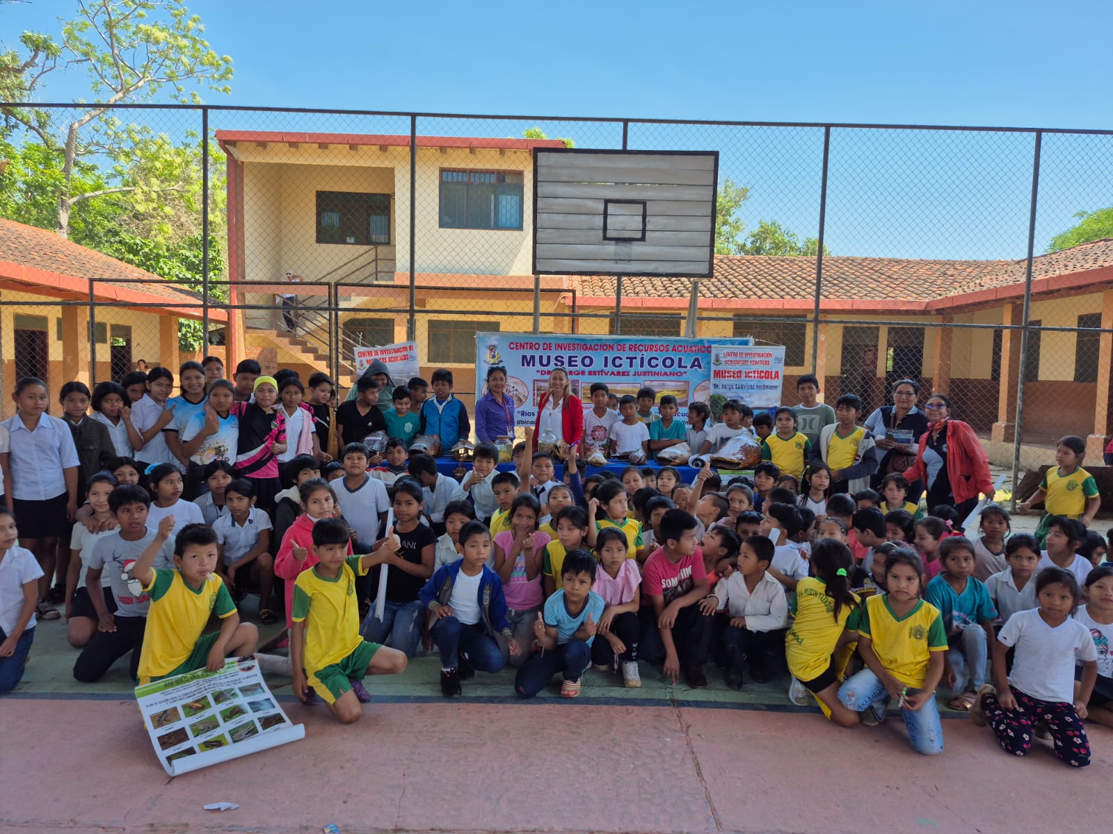 Actividad de extensión 8