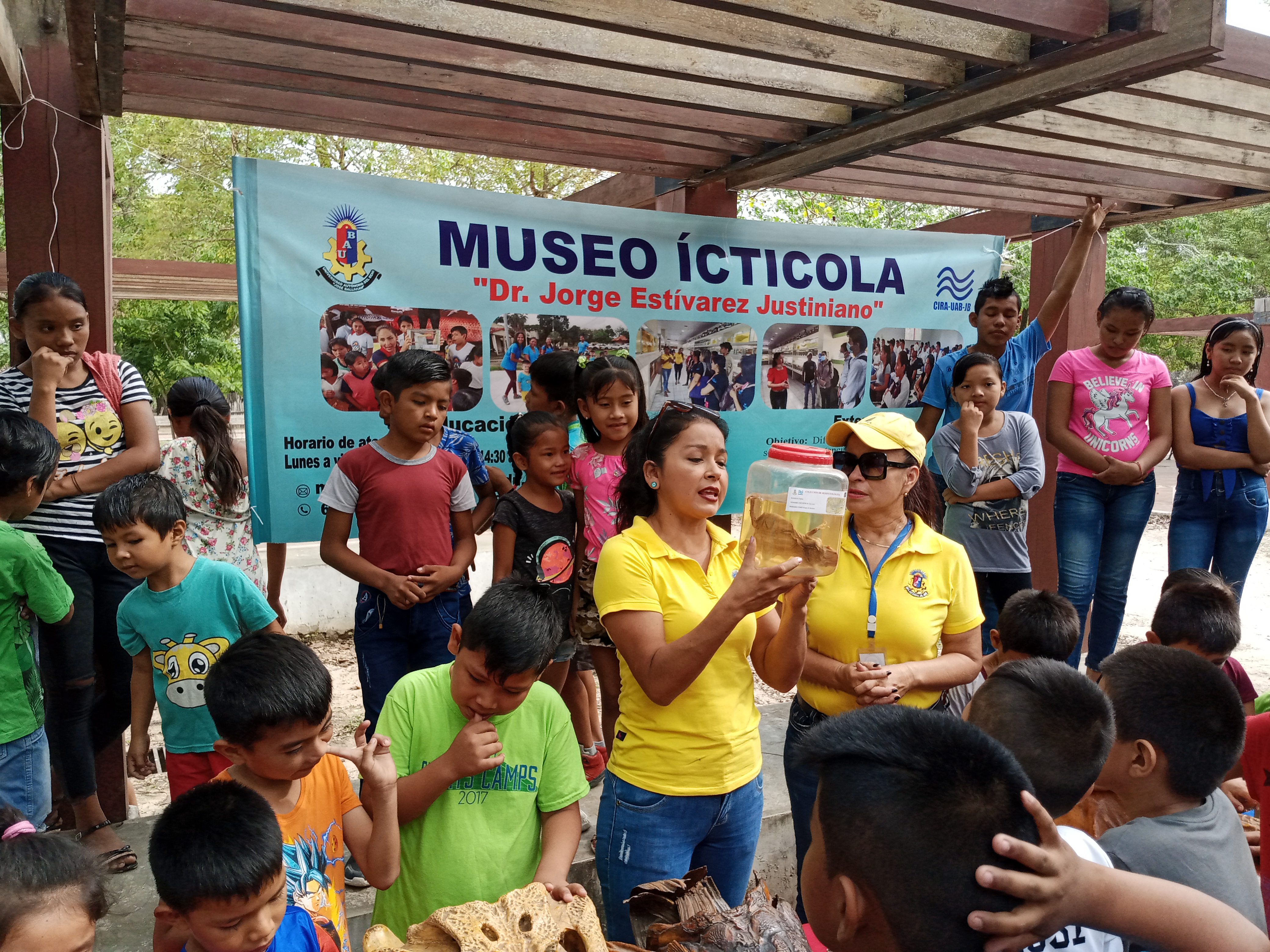 Actividad de extensión 9
