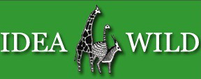 IDEA WILD
