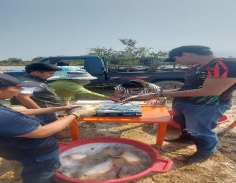 Práctica académica en piscicultura