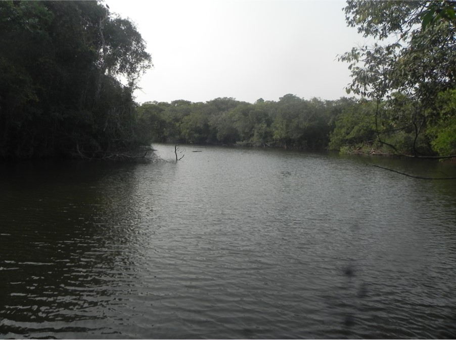 Cuerpos de agua en las TCOs