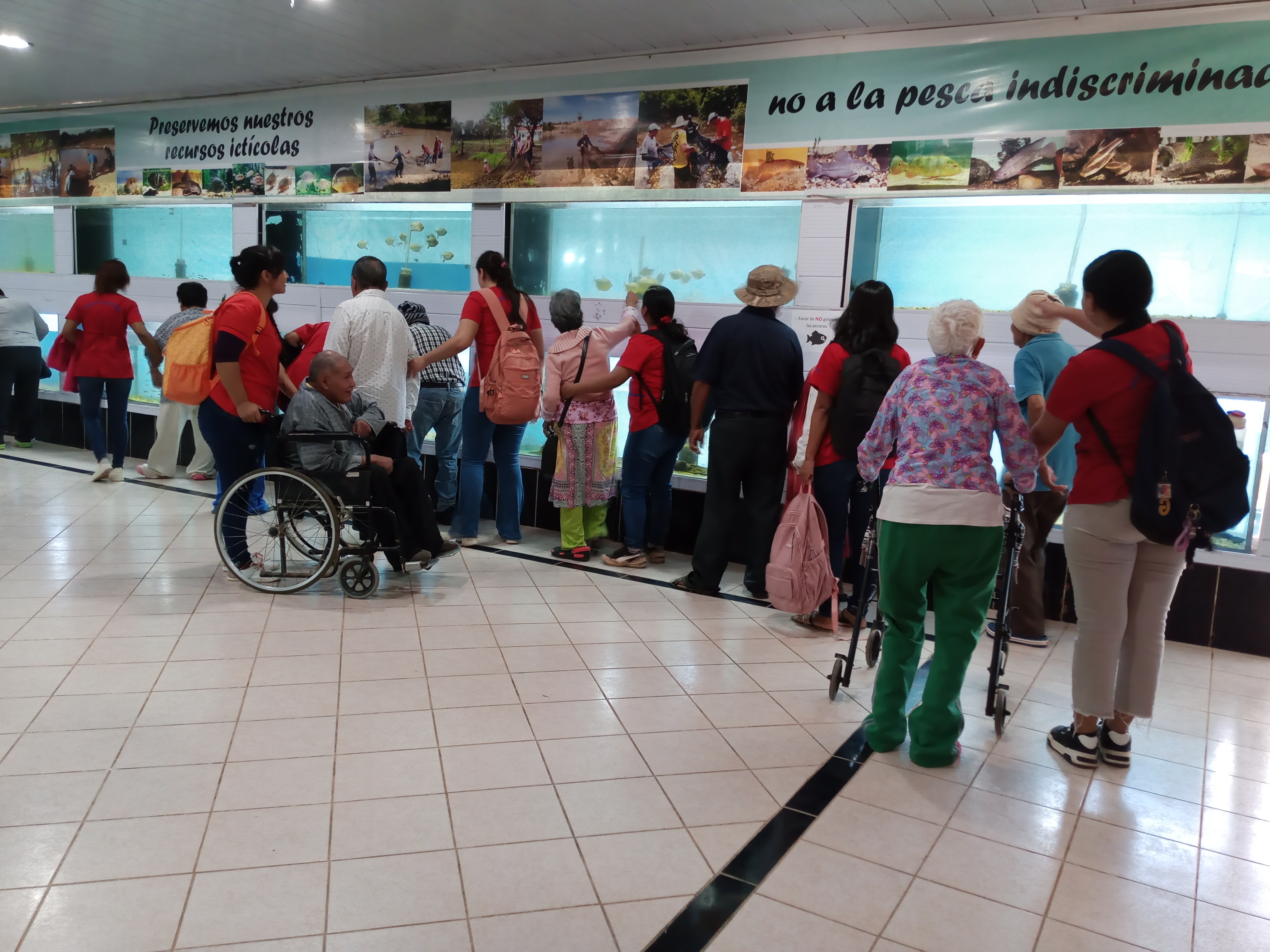 Visitantes en la Sala de Acuarios