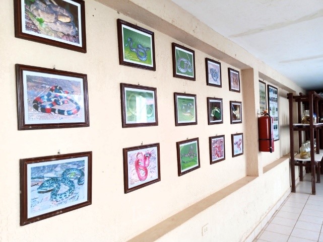 Sala fotográfica del CIRA